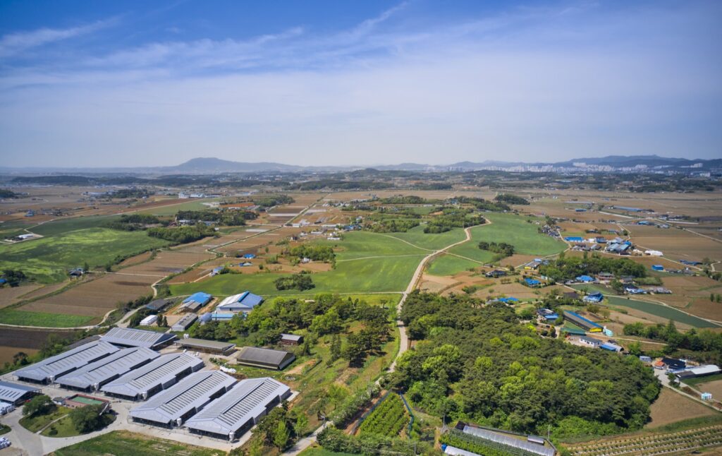 충남 서해안 농촌 들녘 전경