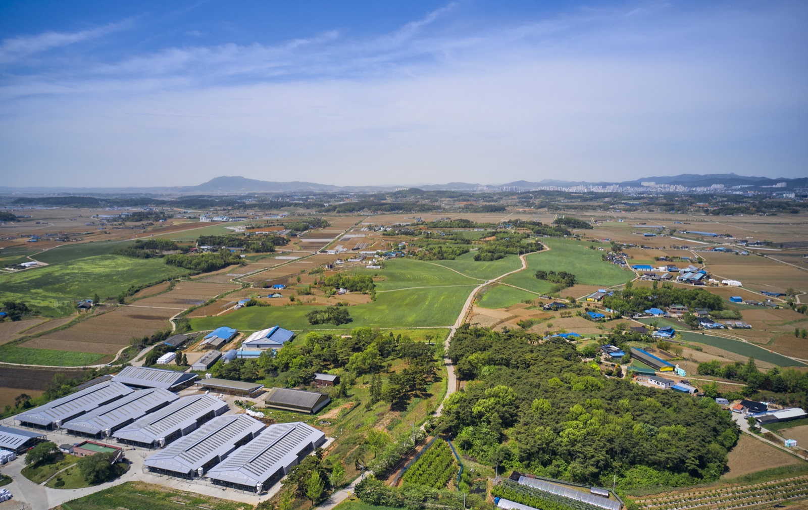 충남 서해안 농촌 들녘 전경