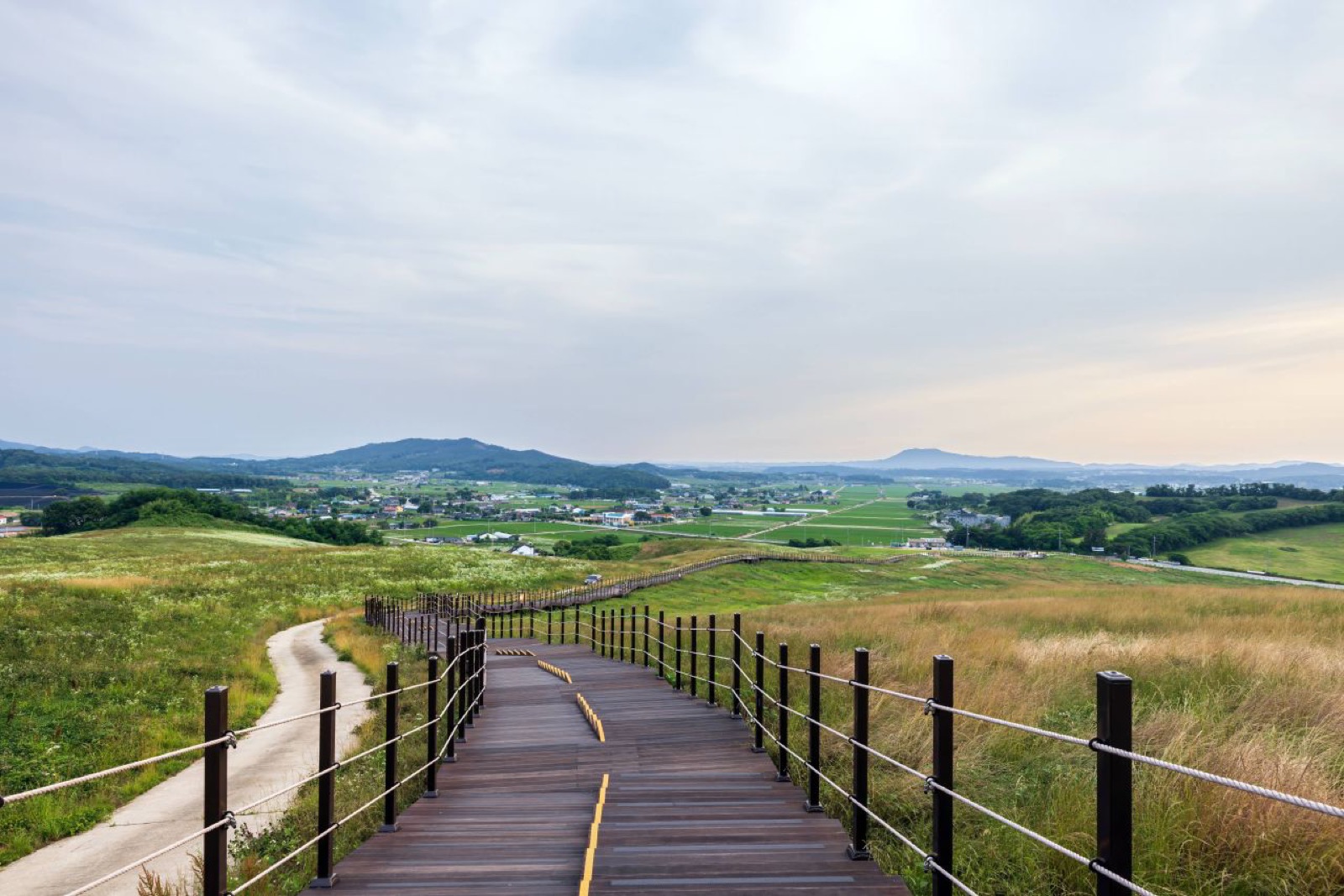 서산 운산면 언덕에서 본 시골 마을과 논, 뒤로 낮은 야산