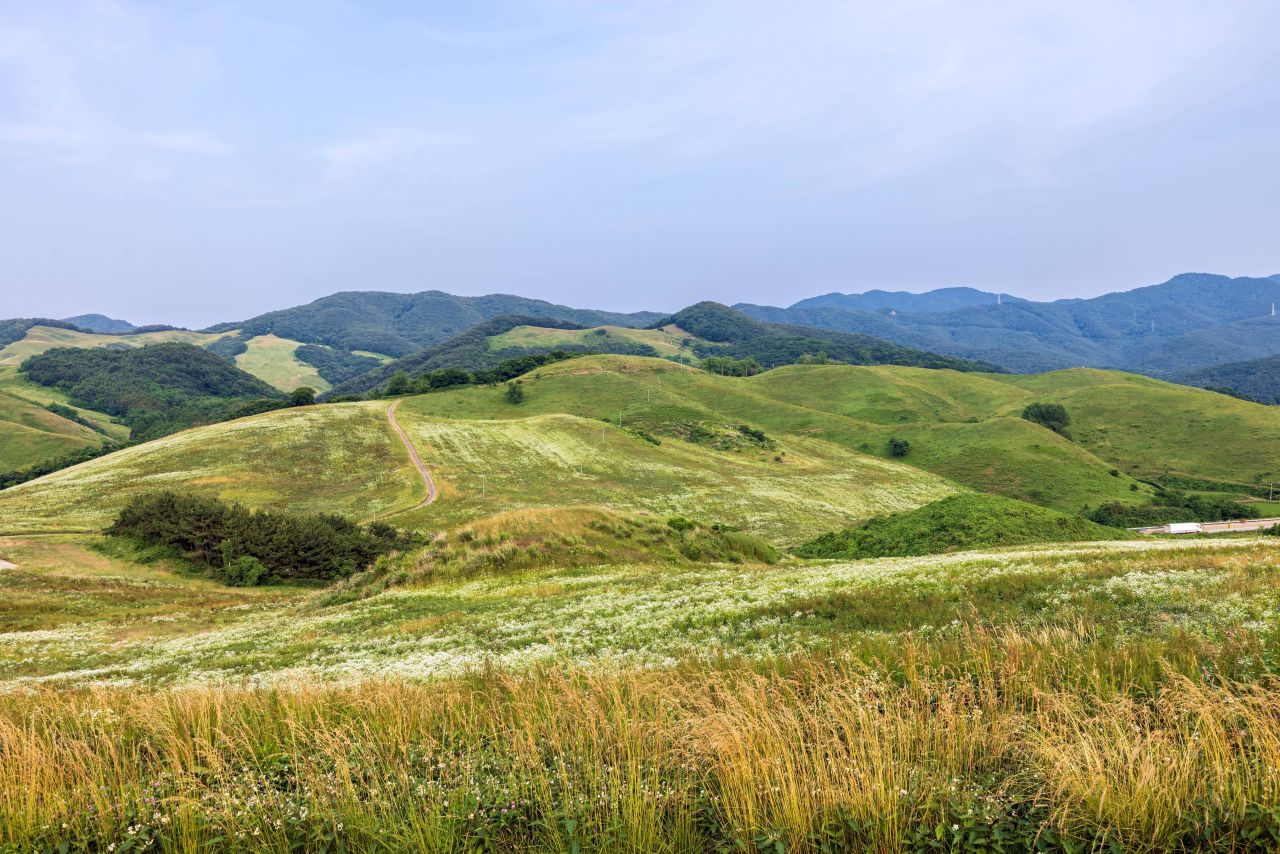 충남 서해안 낮은 구릉과 초지, 멀리 이어진 산 능선