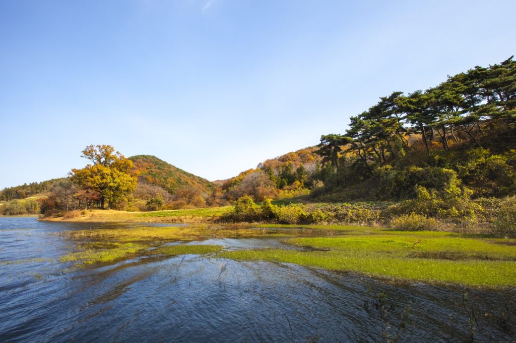 서산 운산면 용비지, 가을빛 물든 산자락 아래 물가와 풀밭