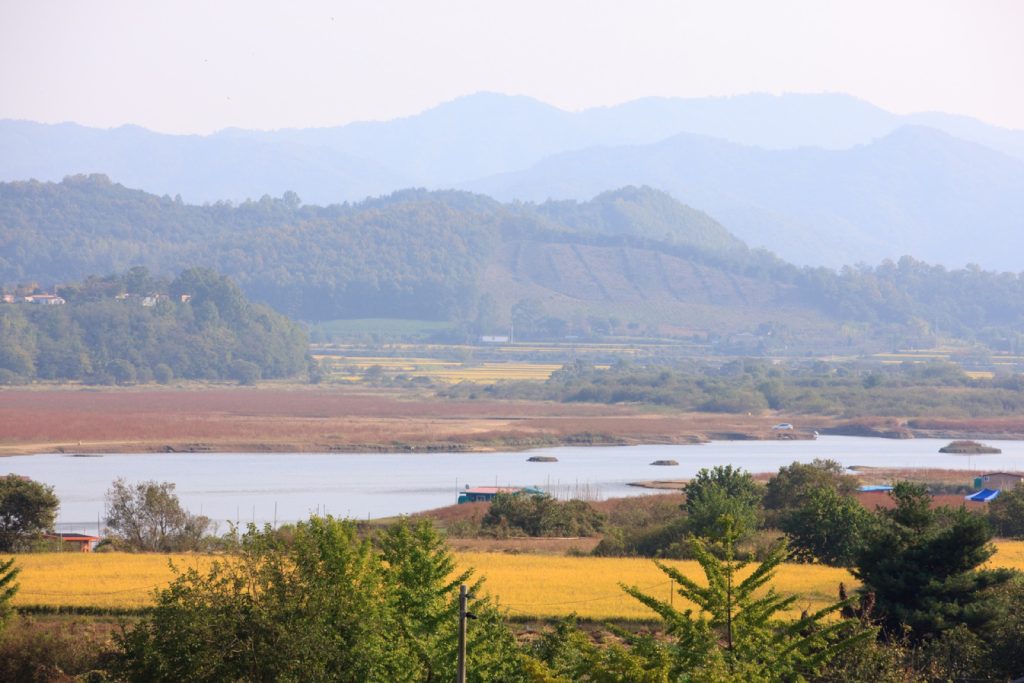 누렇게 익은 가을 논과 저수지 너머로 낮은 산 아래 들녘 마을이 펼쳐진 충남 농촌 풍경