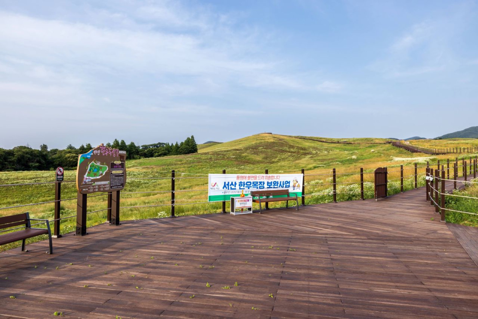 서산 운산면 한우목장 전망 데크 뒤로 완만한 초지 언덕이 이어지는 여름 풍경