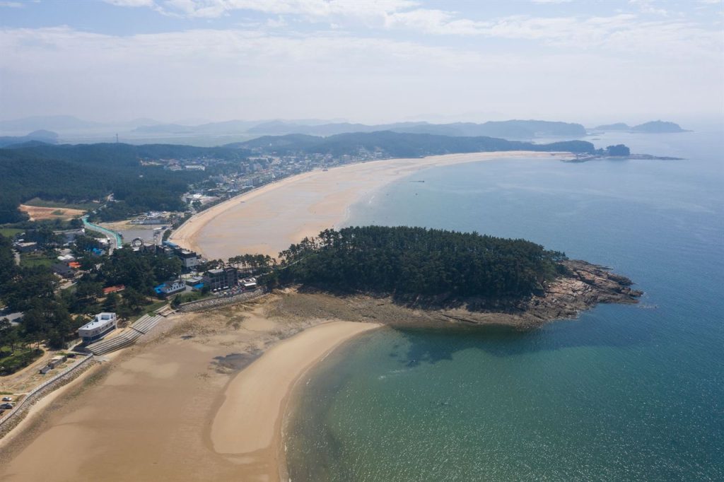 태안 소원면 만리포 해변과 그 뒤로 이어진 마을, 숙박시설, 솔숲을 내려다본 항공 사진